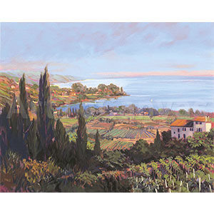 Coastal Vineyard