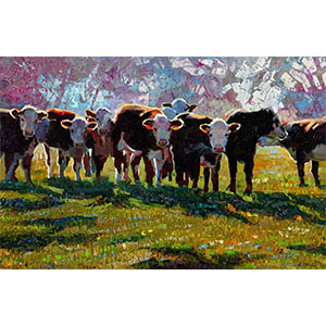 Morning Cattle
