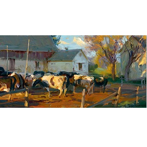 Evening Holsteins